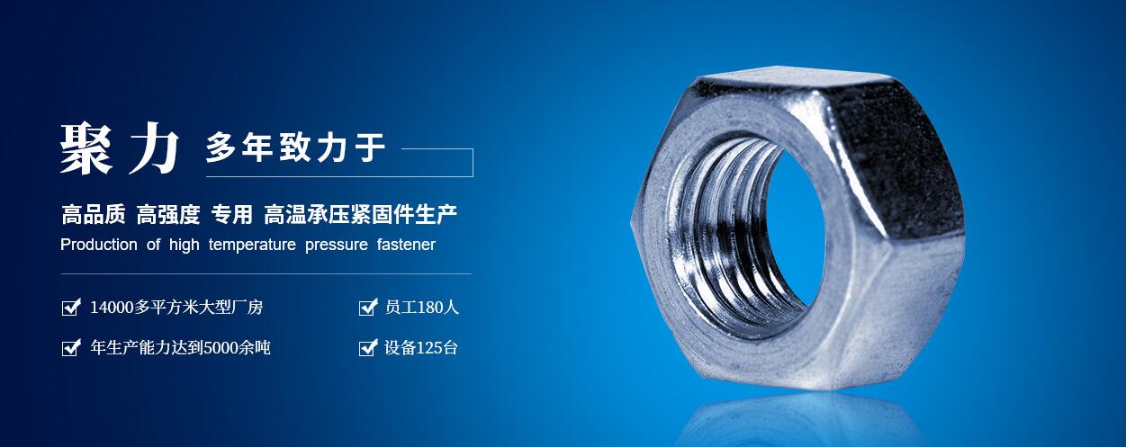 延安开云买球(中国)官方网站：高低温螺柱、螺母、六角头螺栓